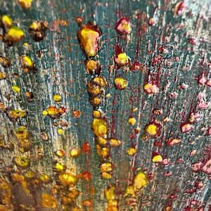 Still becoming detail 2.jpg