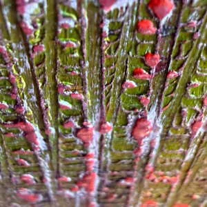 Take the trip detail 4.jpg