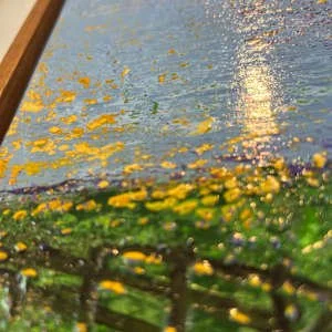 False start detail 3.jpg