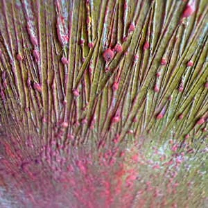Take the trip detail 3.jpg