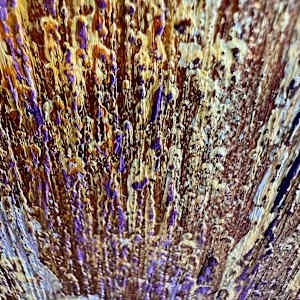 Leave it behind detail 2.jpg