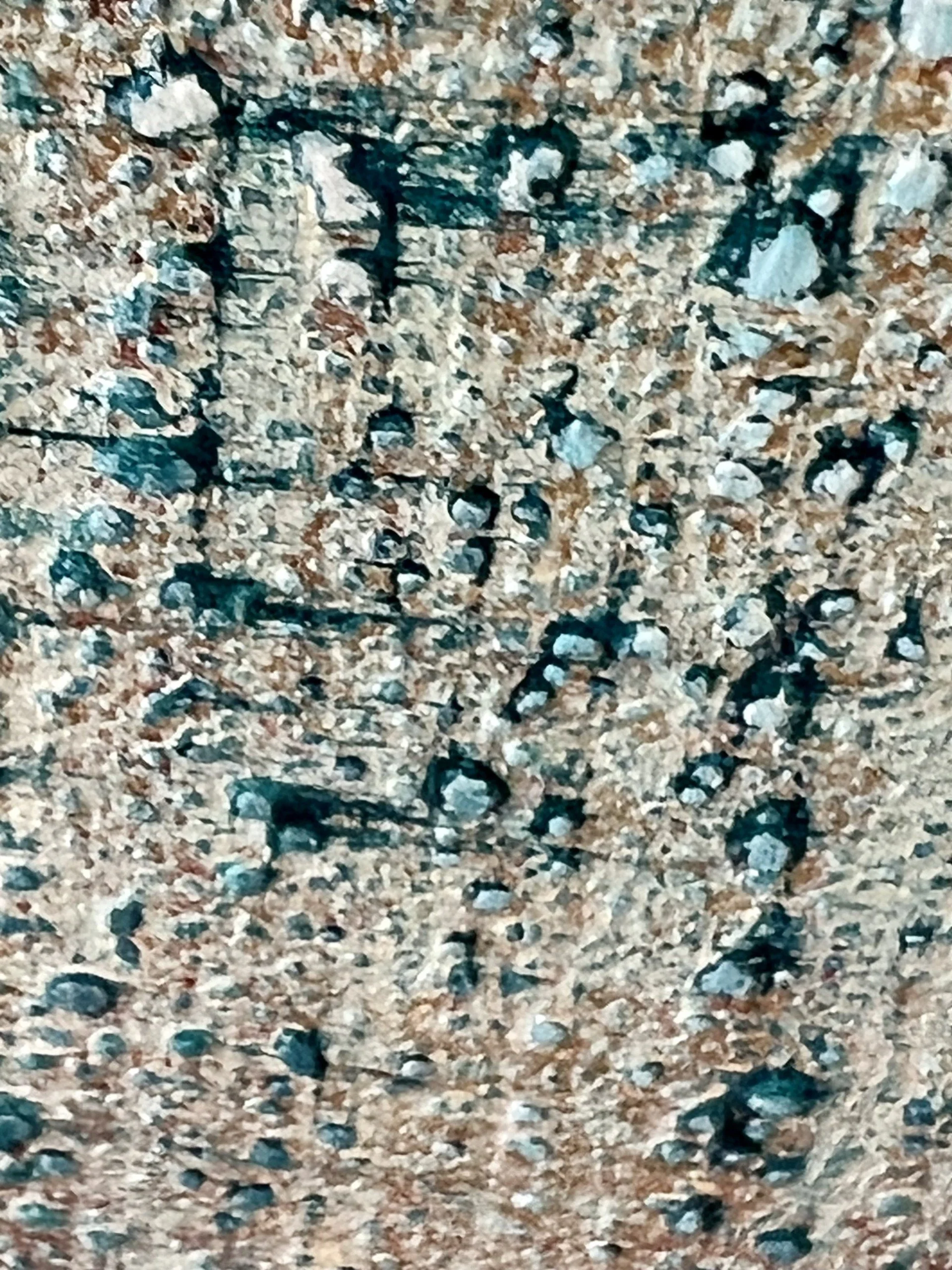 Whats Next Detail 2.jpg