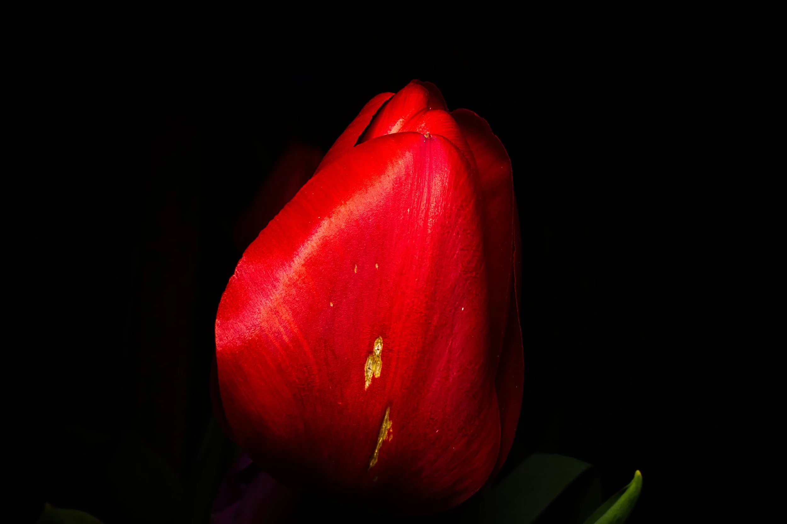 IMG_6240.jpeg