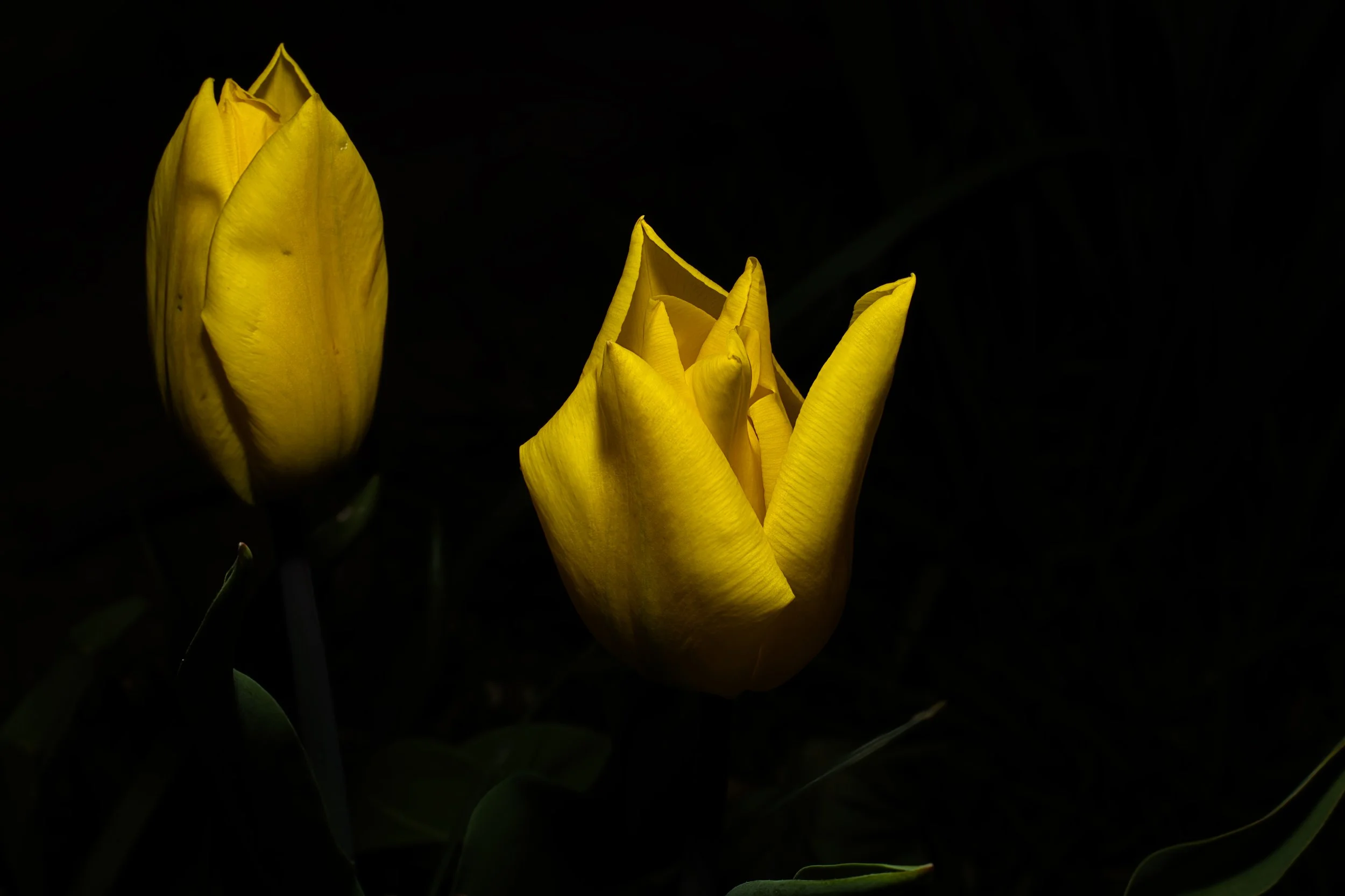 IMG_6220.jpeg