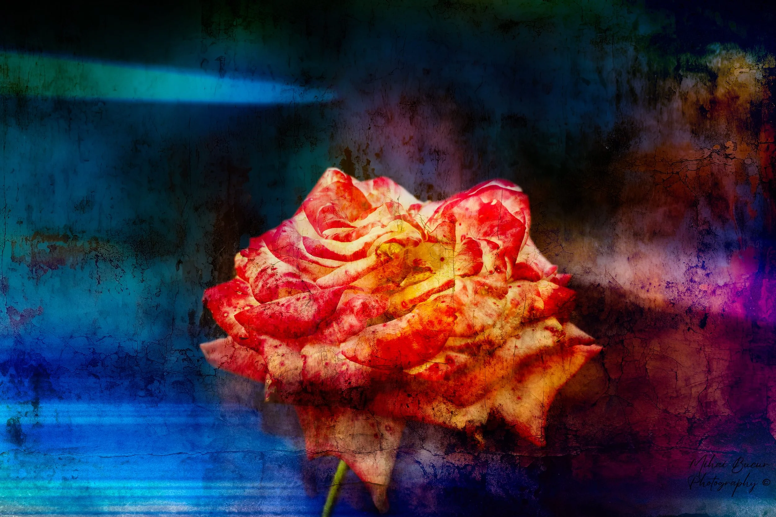 Fine Art