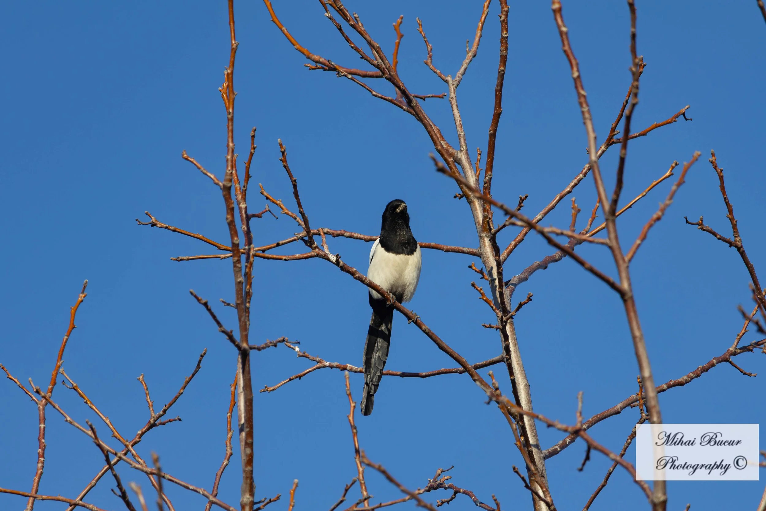 IMG_0857.jpg