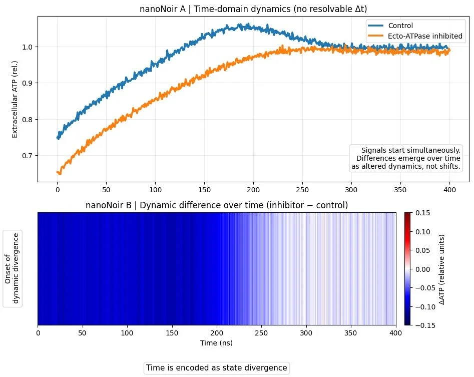 nanoNoir (10⁻⁹ s) – When time is no longer a shift, but a divergence
