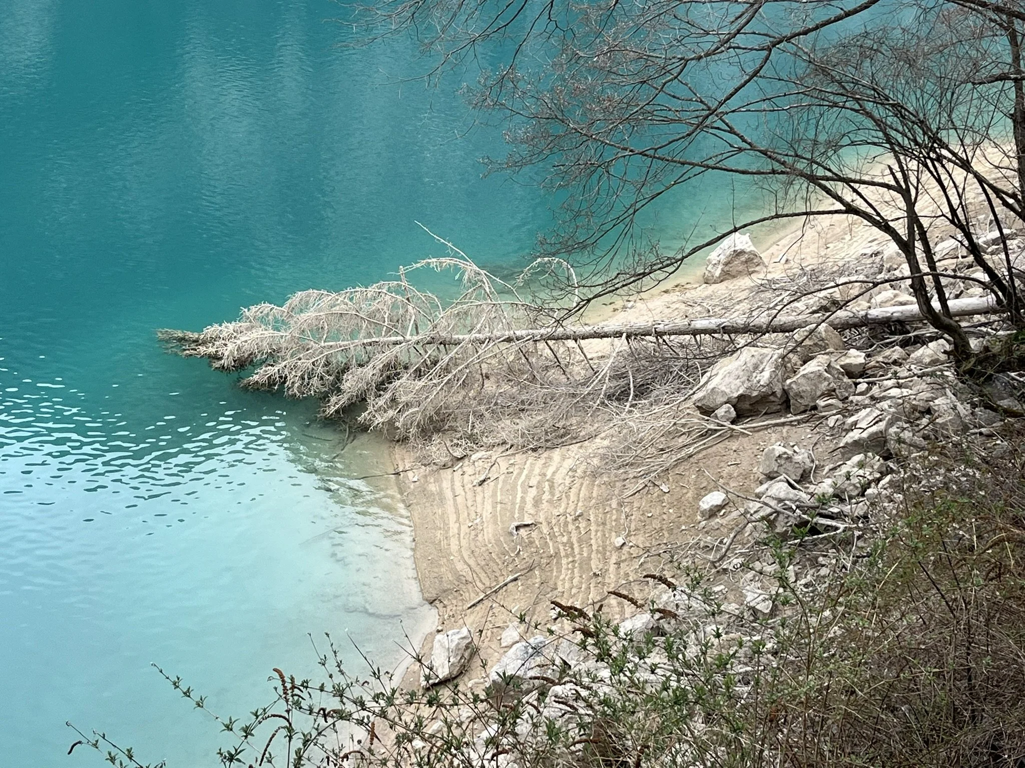IMG_2025.JPEG