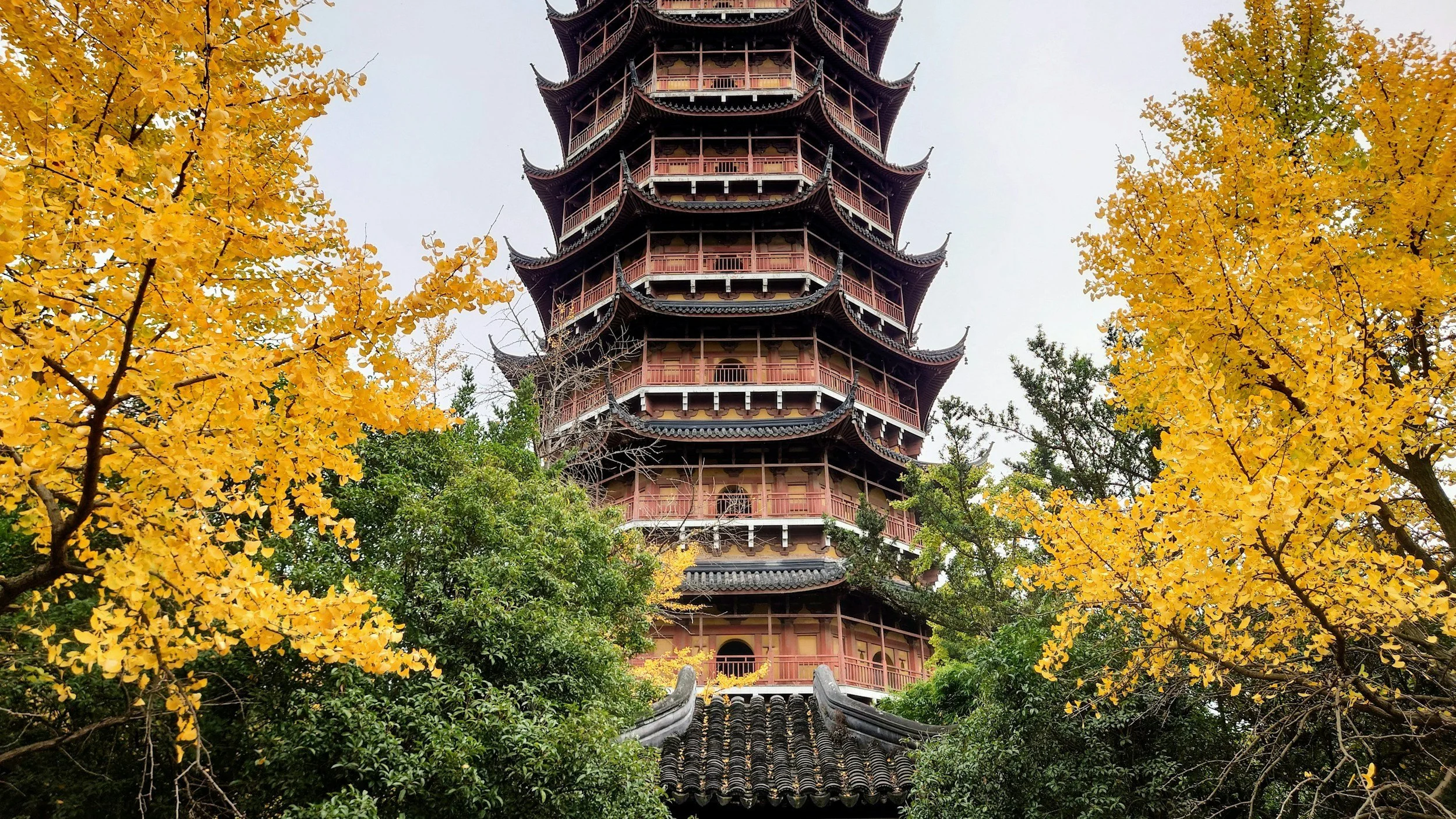 unsplash-image-_SXrGFB0Qgw.jpg