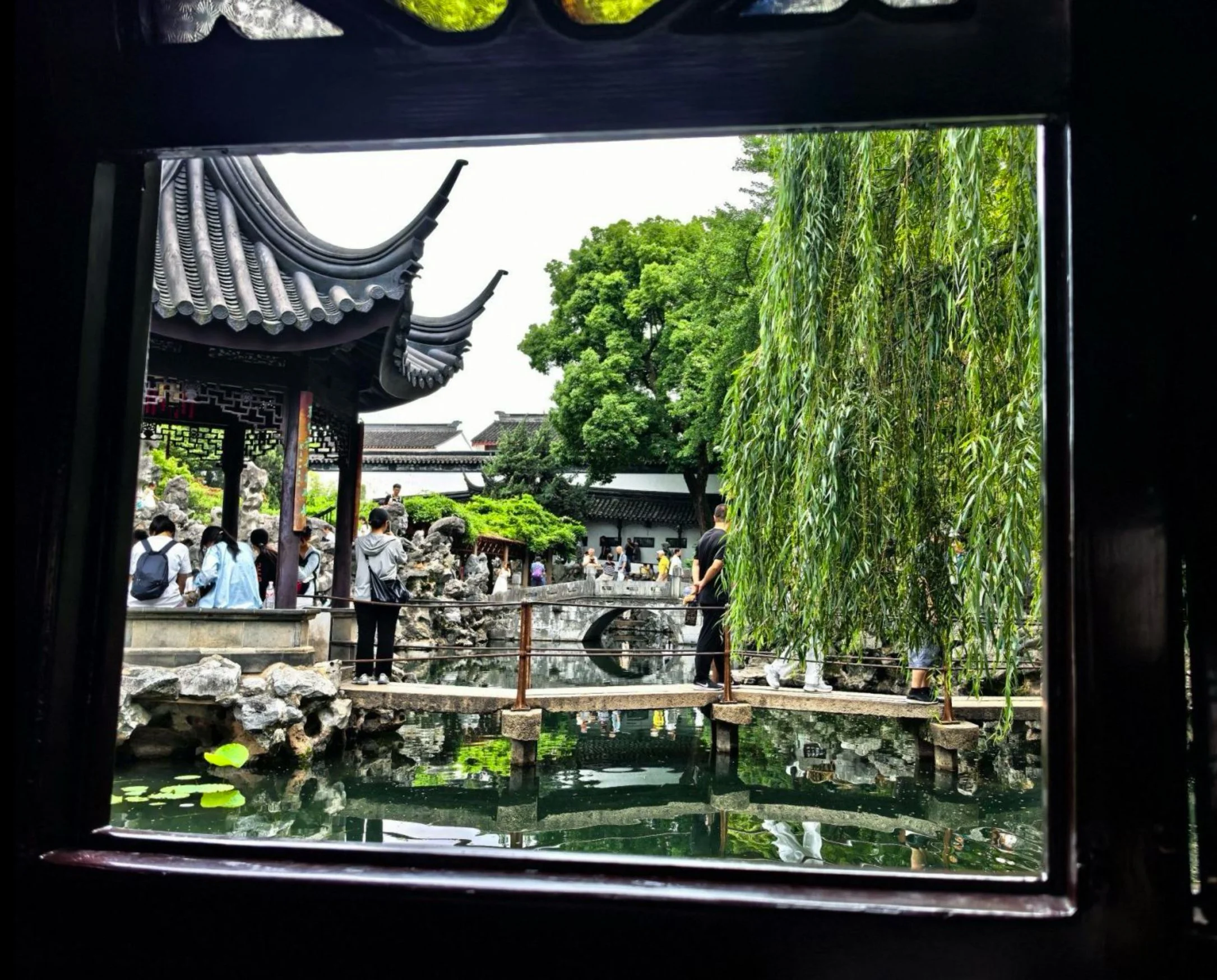 IMG_1237.JPEG