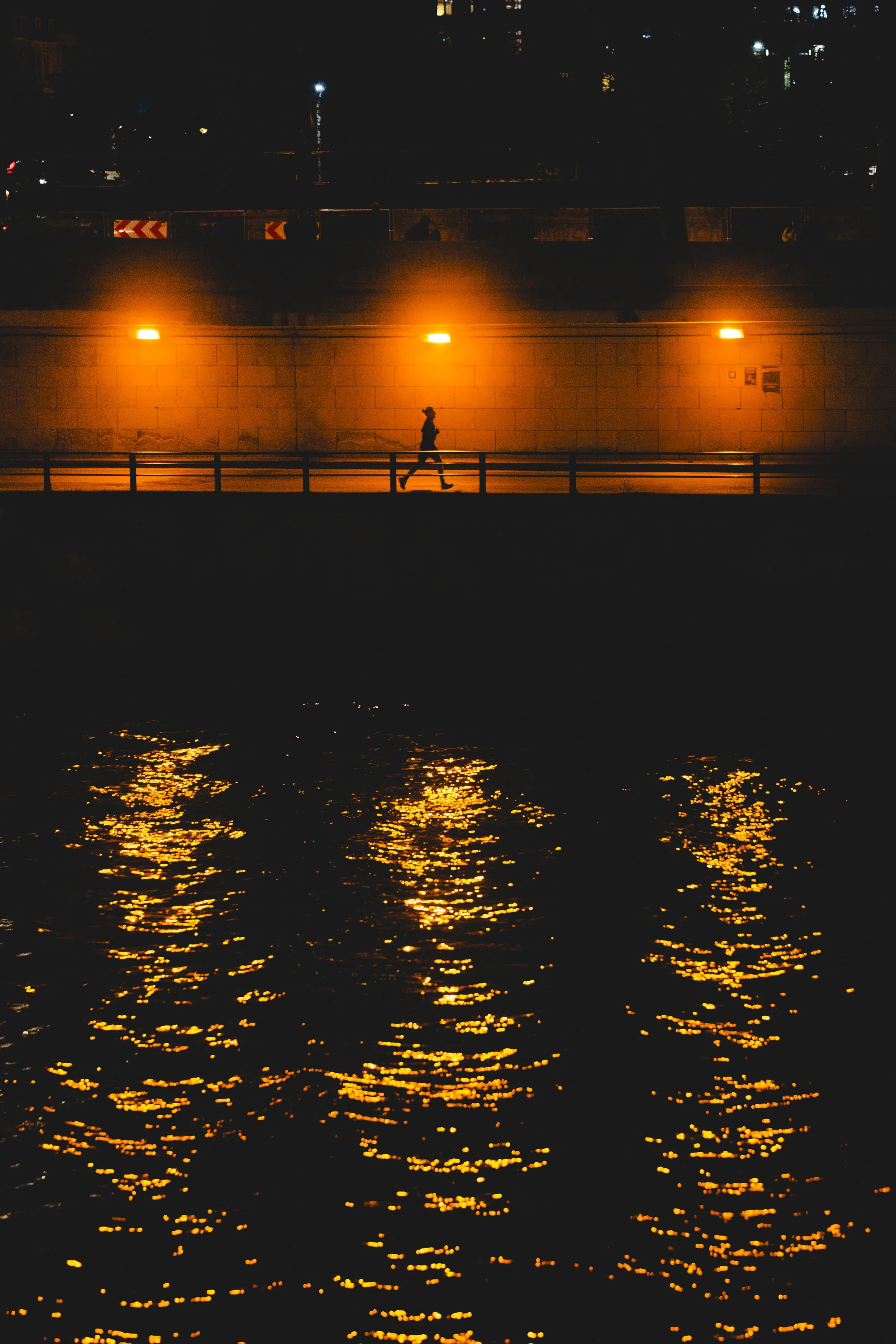 54520482689_11bcc2cd3c_o.jpg
