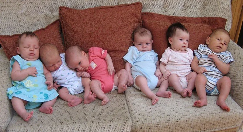 Six young babies sit perched beside each other in a row on a couch with brown pillows, sleeping or resting.