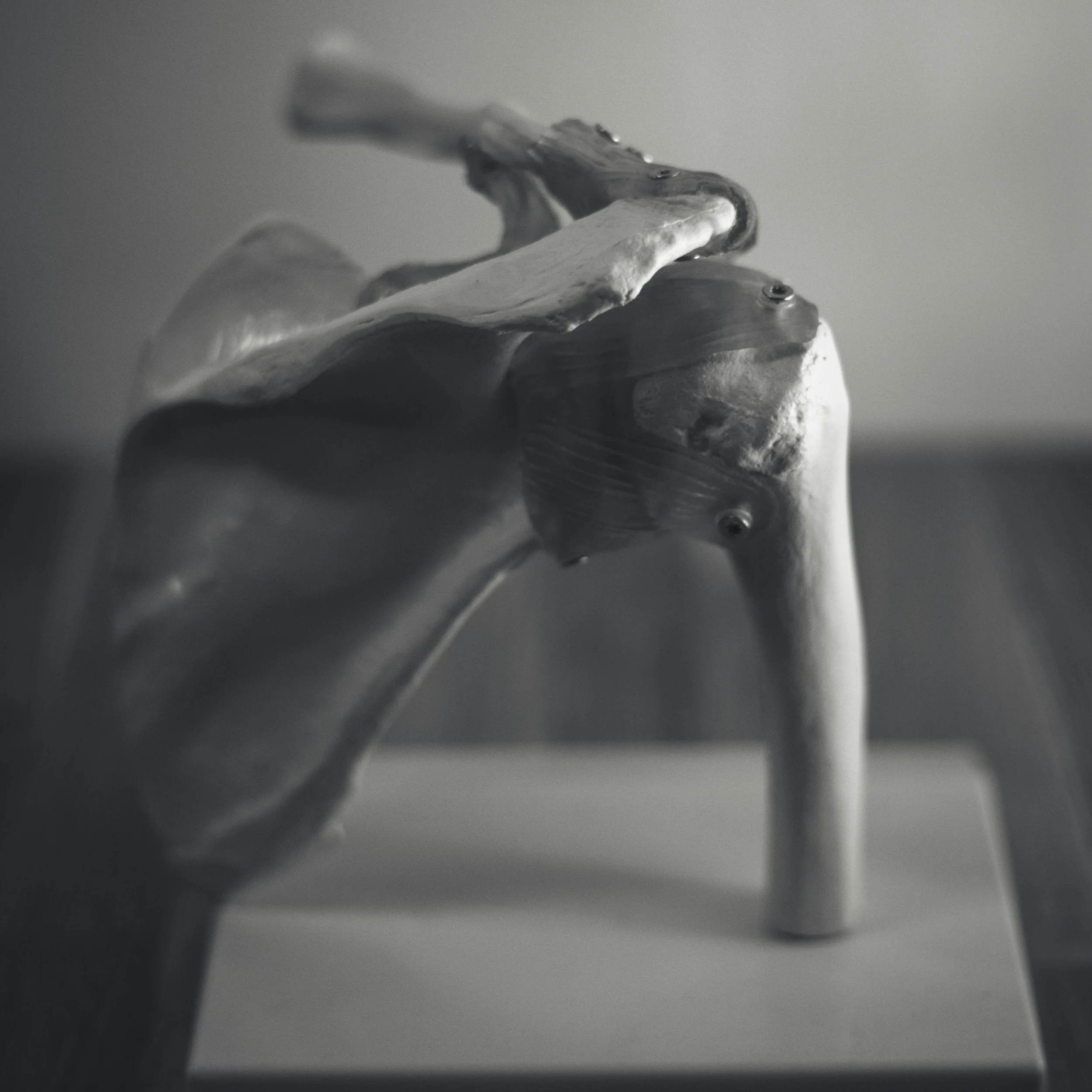 Close-up of a metallic horse figurine with a sleek design, viewed from a low angle in black and white.
