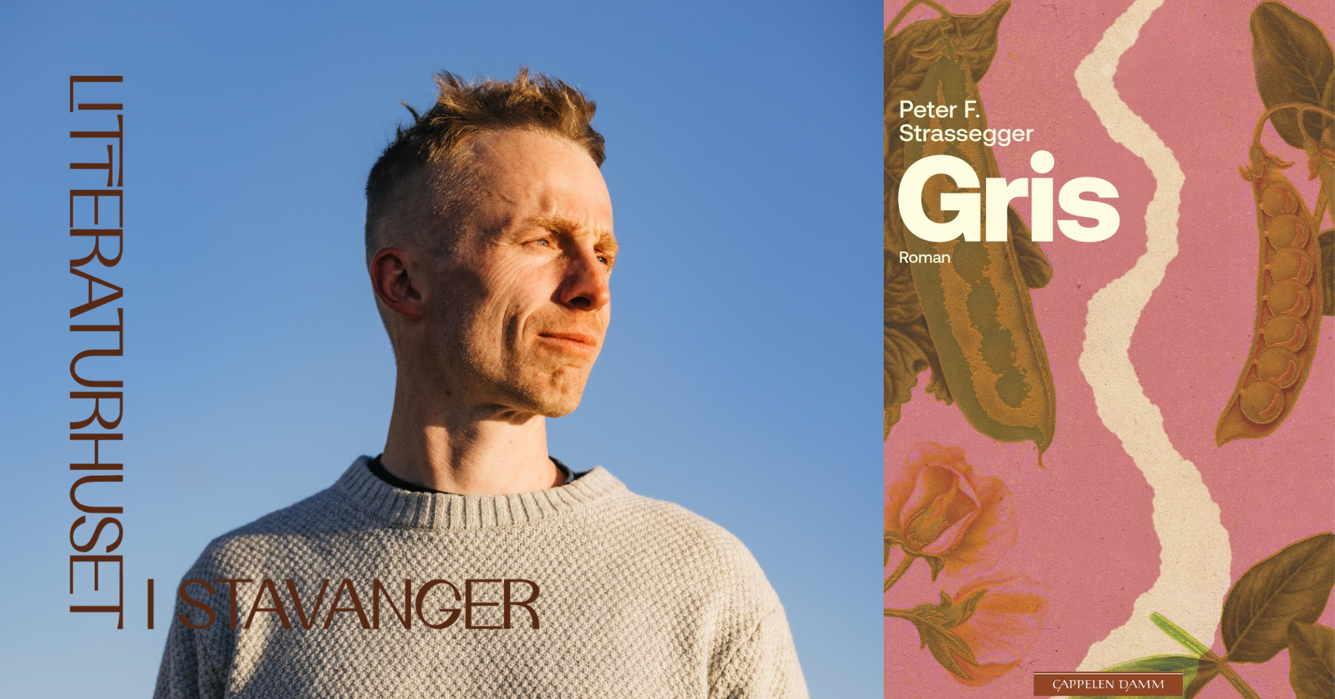 "GRIS" – ein ny roman av Peter Strassegger.