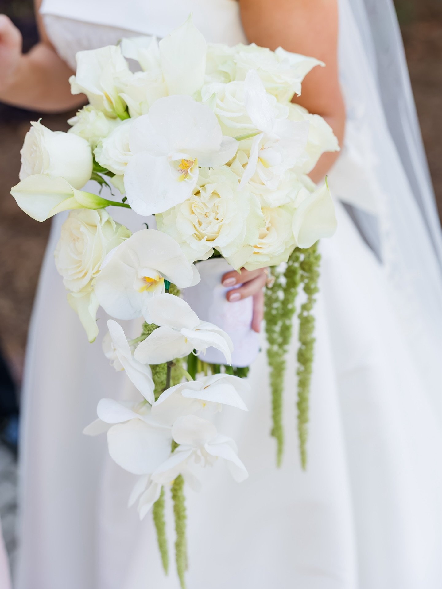 The bouquet moment. 🤍 Designed in-house by the Oak Crest Mansion team, this cascading arrangement or orchids and roses brings together timeless white blooms and graceful texture for a look that&rsquo;s both modern and romantic.

📸: @kaycestorkphoto