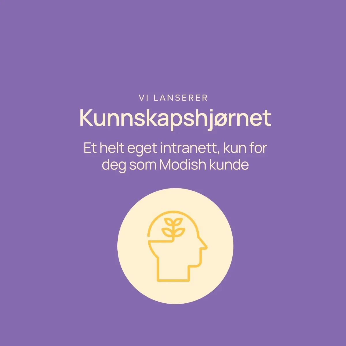 Vi lanserer stolt Kunnskapshj&oslash;rnet &ndash; v&aring;rt nye intranett, skreddersydd eksklusivt for v&aring;re kunder! 💡

Du finner Kunnskapshj&oslash;rnet &oslash;verst i menyen i Modish Plattformen (rett under Dashboard) 👀