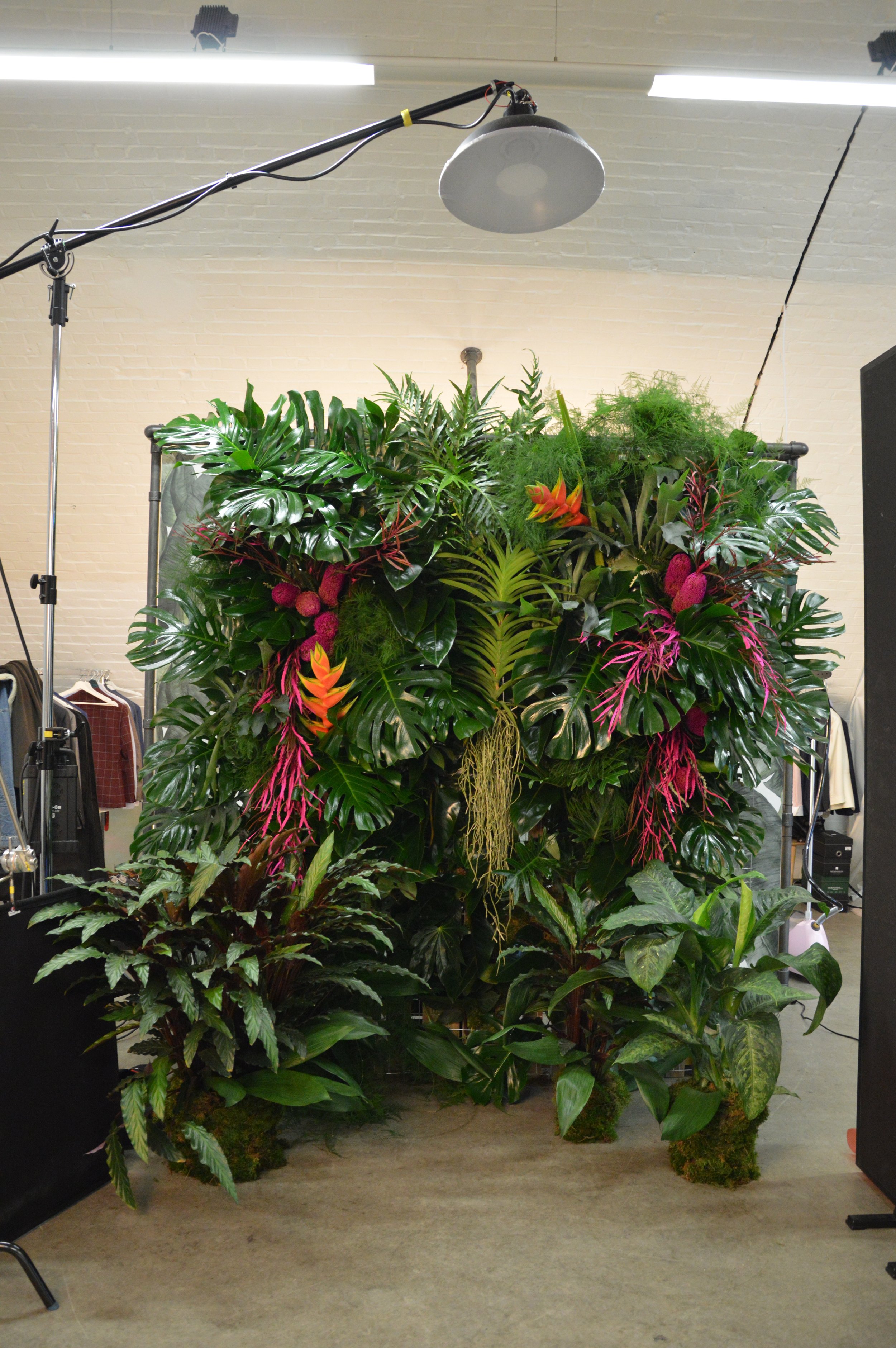 TROPICAL INSTALLATION