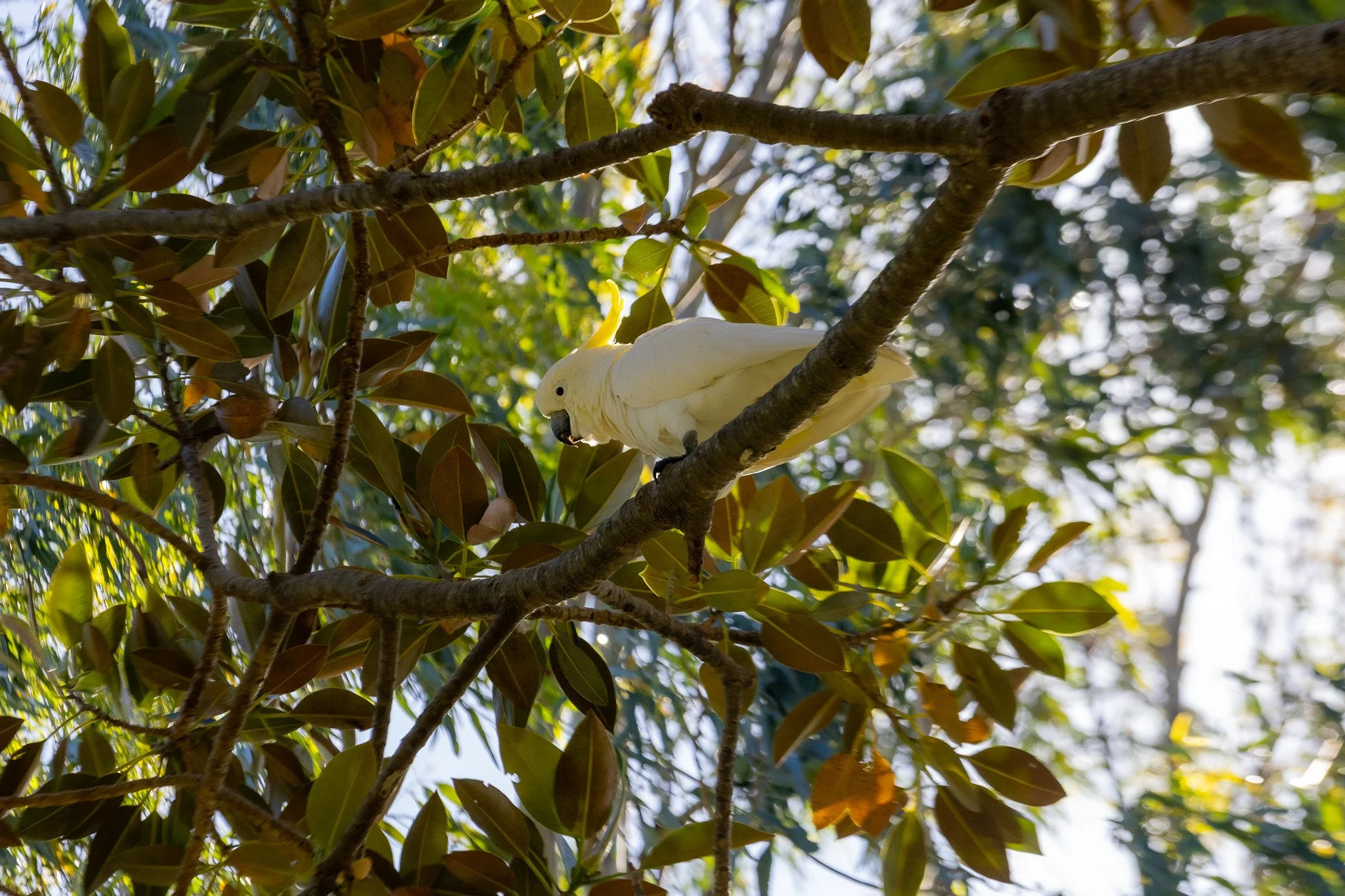 _MG_6958.jpg