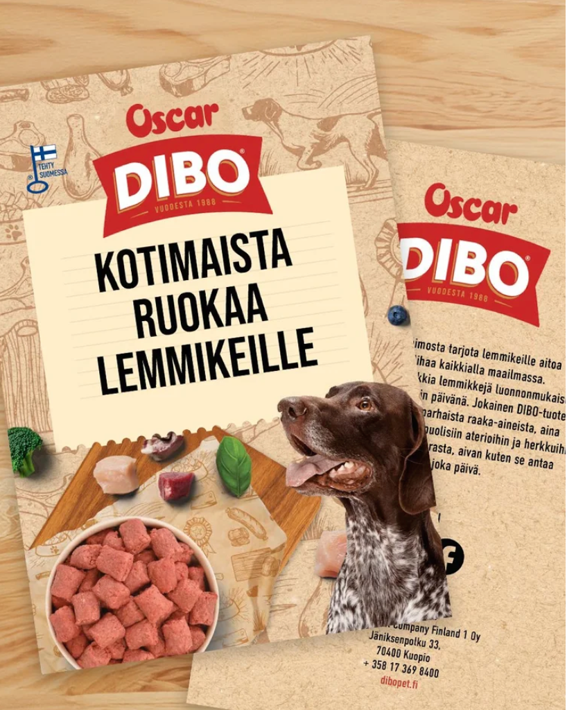 Lemmikkaiheinen esitteen kansikuva. "Kotimaista ruokaa lemmikeille". Koira katsoo ylöspäin ja vieressä ruokakuppi jossa raakaruokapullia