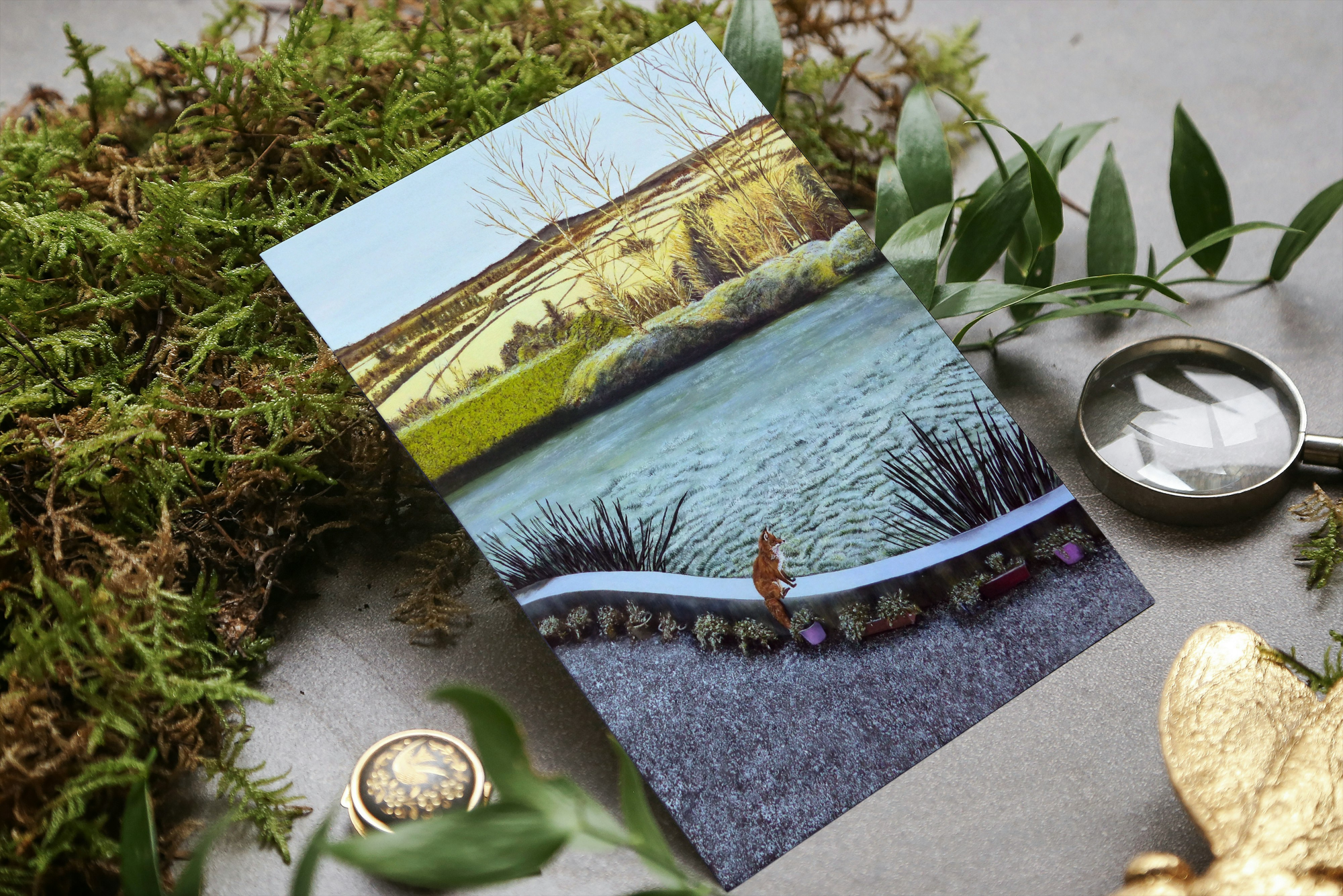 Fox's Garden - Greeting Card