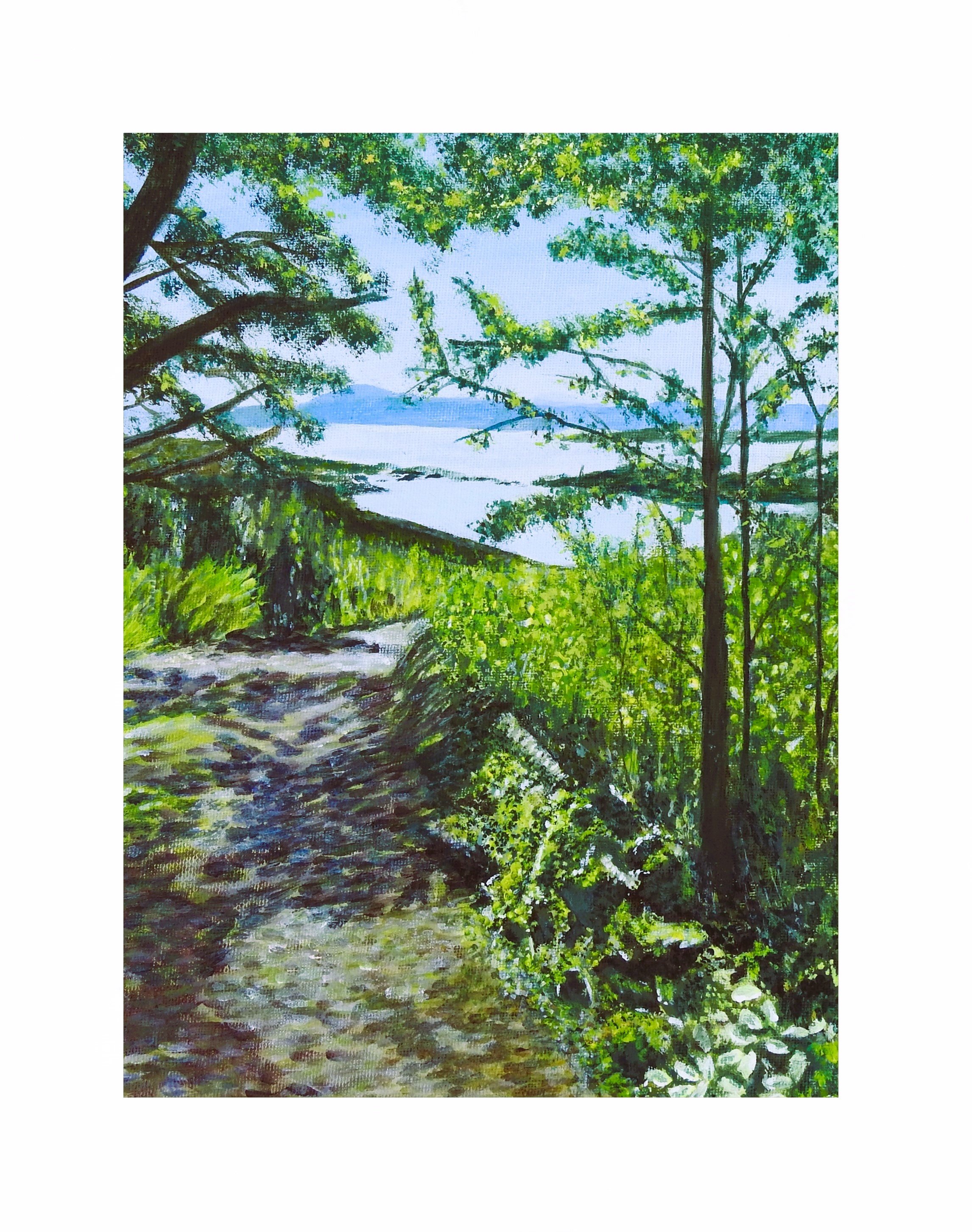 Woodland trail mounted.jpg