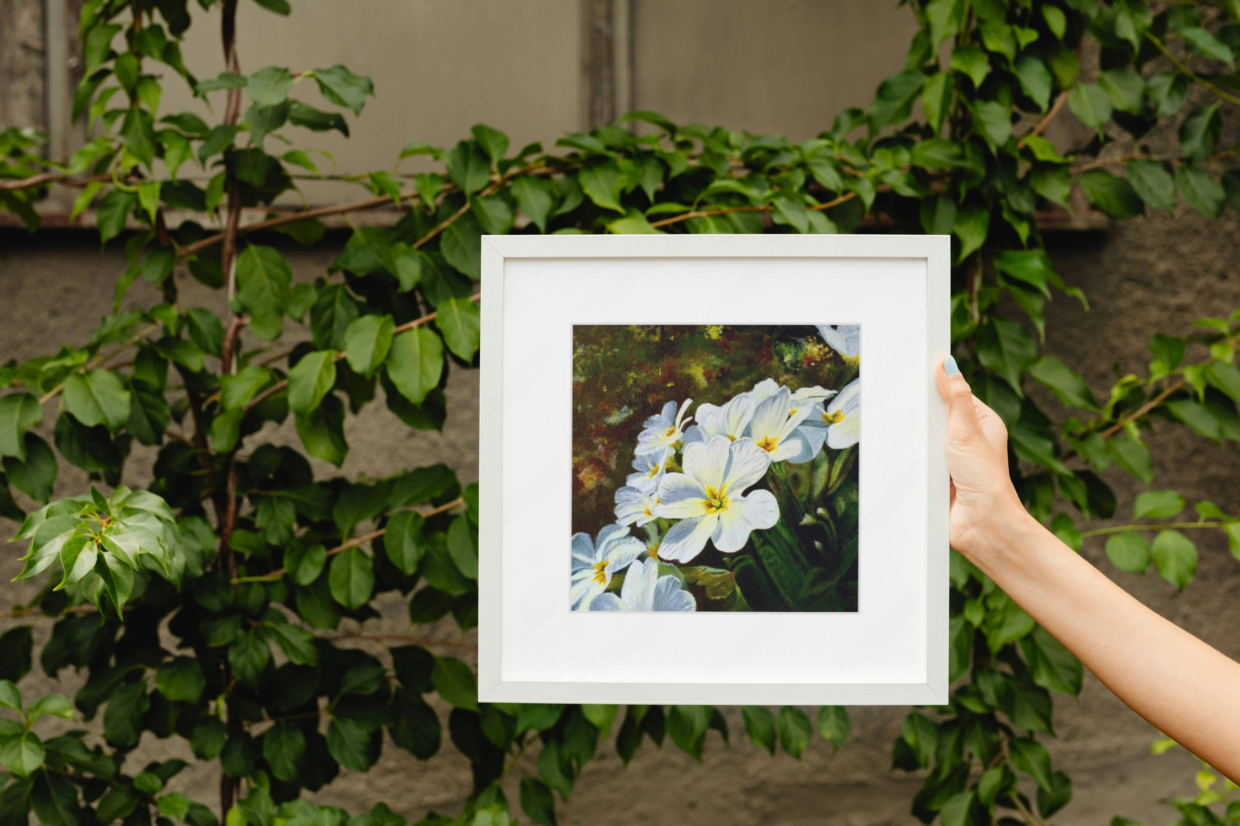 Primroses Med fr mock up.png
