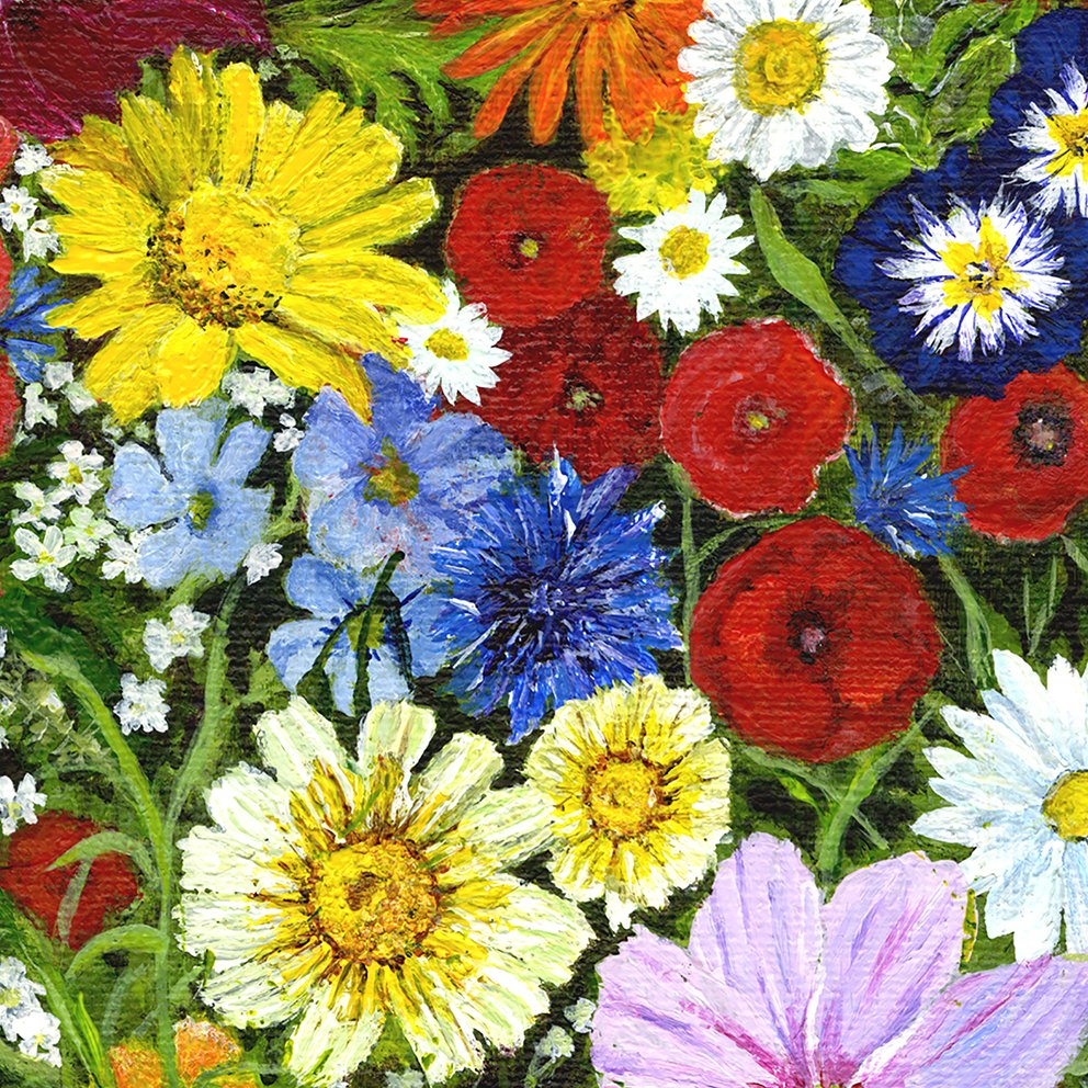 Wildflowers 9.jpg