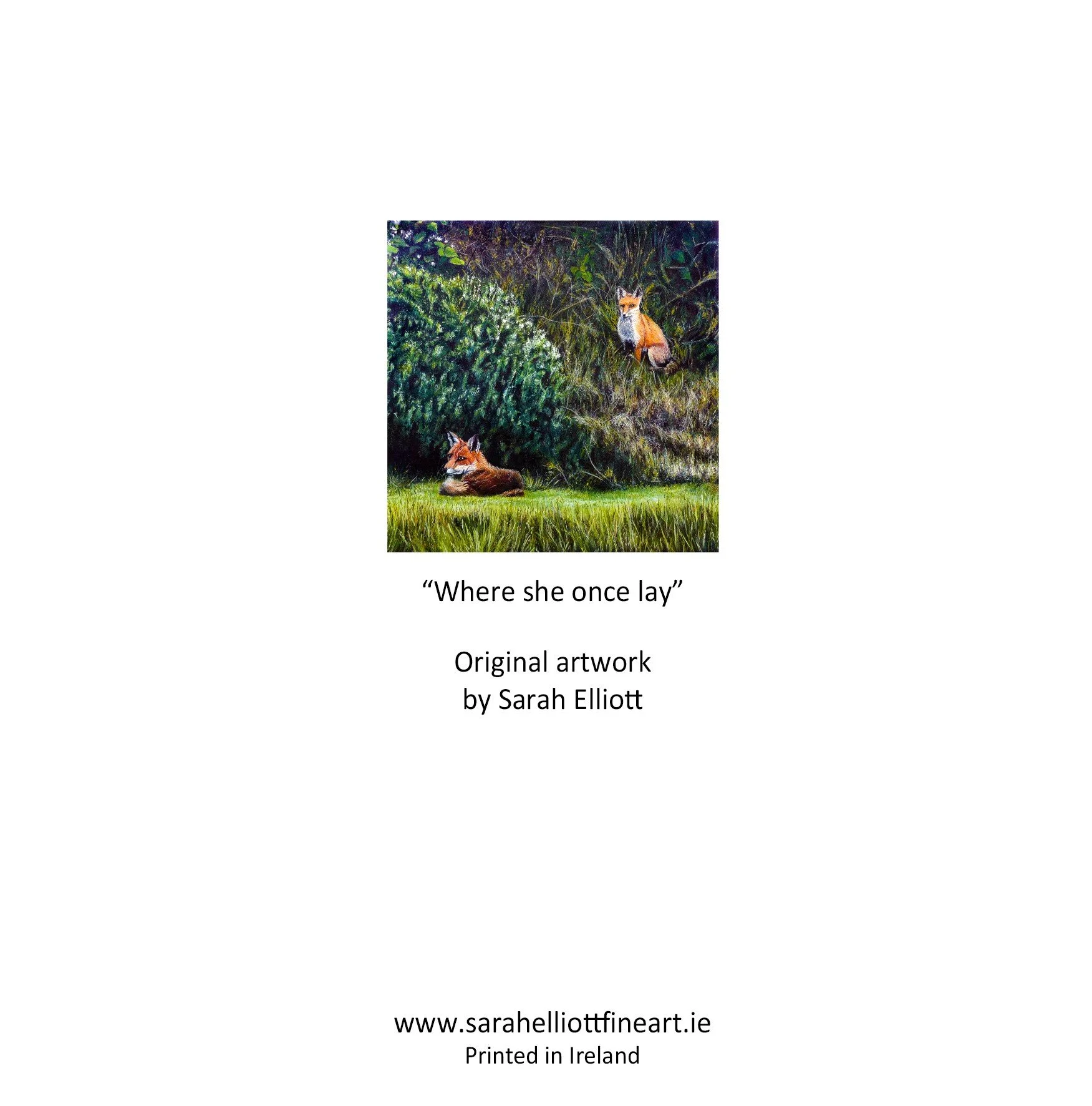 Where she once lay back.jpg