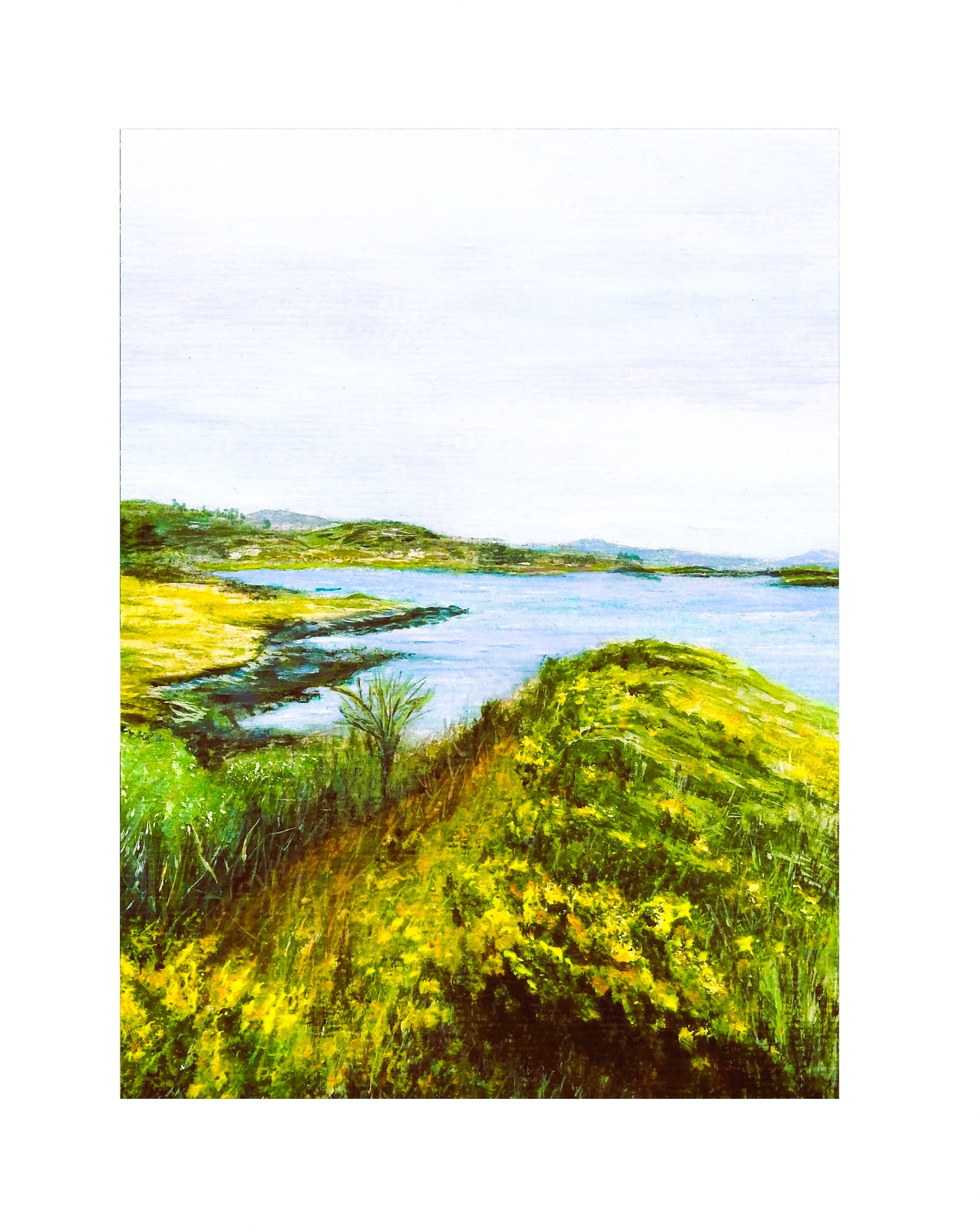 Coastal Gorse mounted.jpg