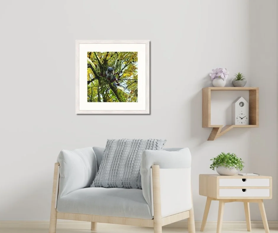 Squirrel room mock up.jpg