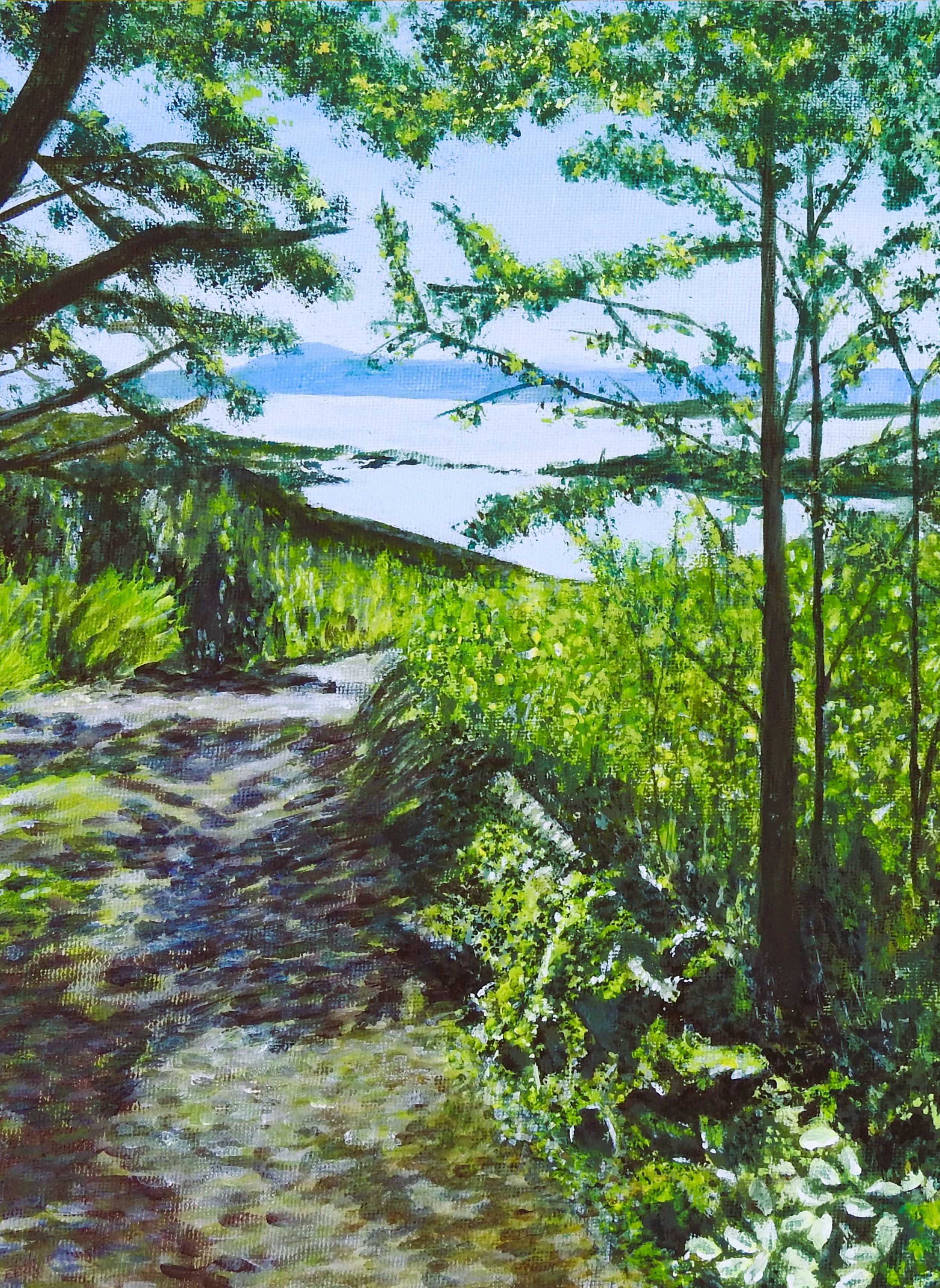 Woodland trail image.jpg
