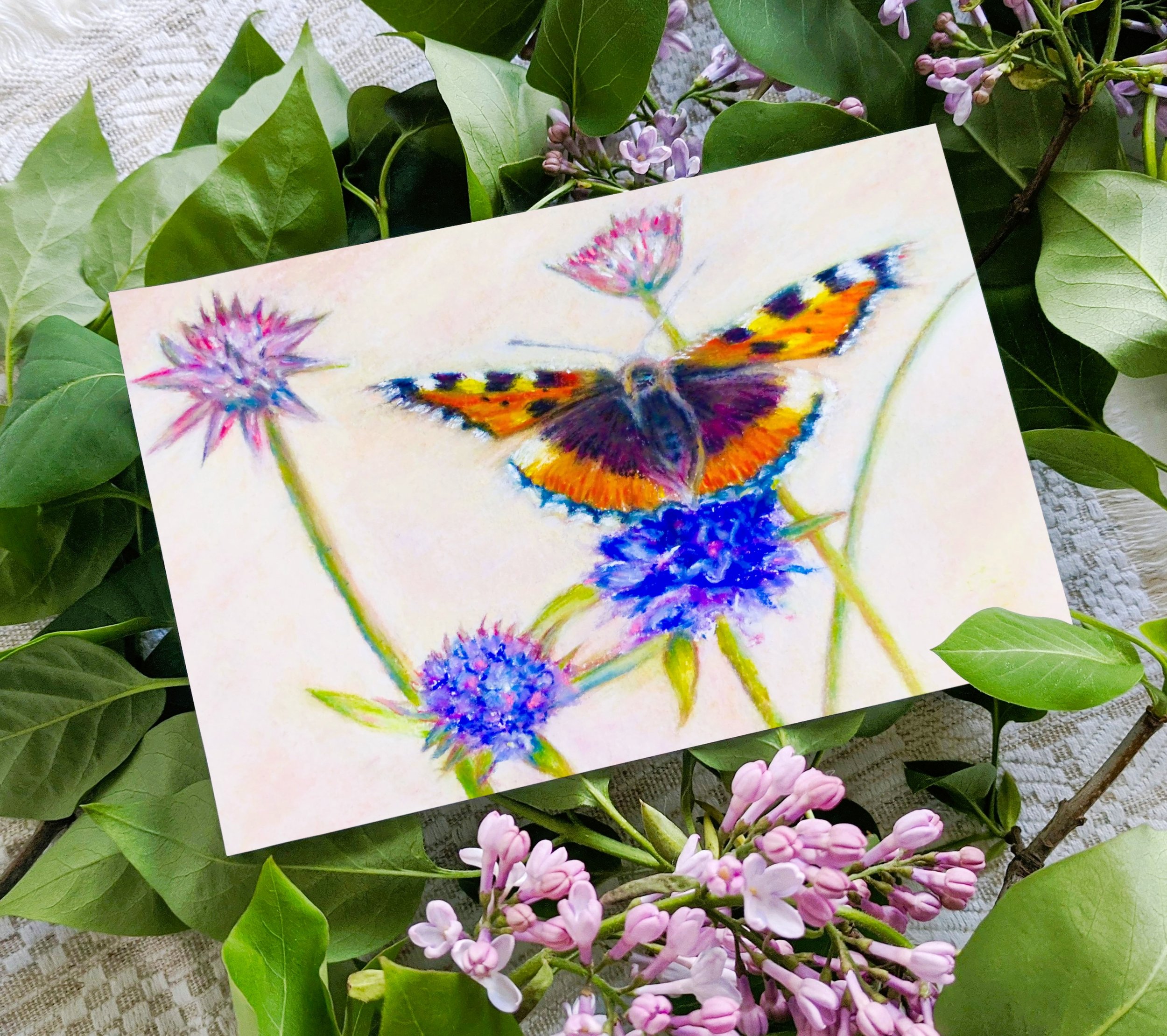 Small Tortoiseshell card.jpg