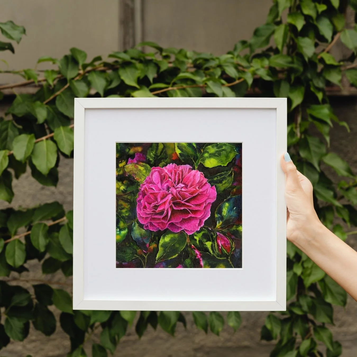 A small framed print of a vibrant pink Gabriel Oak David Austin rose with deep green leaves