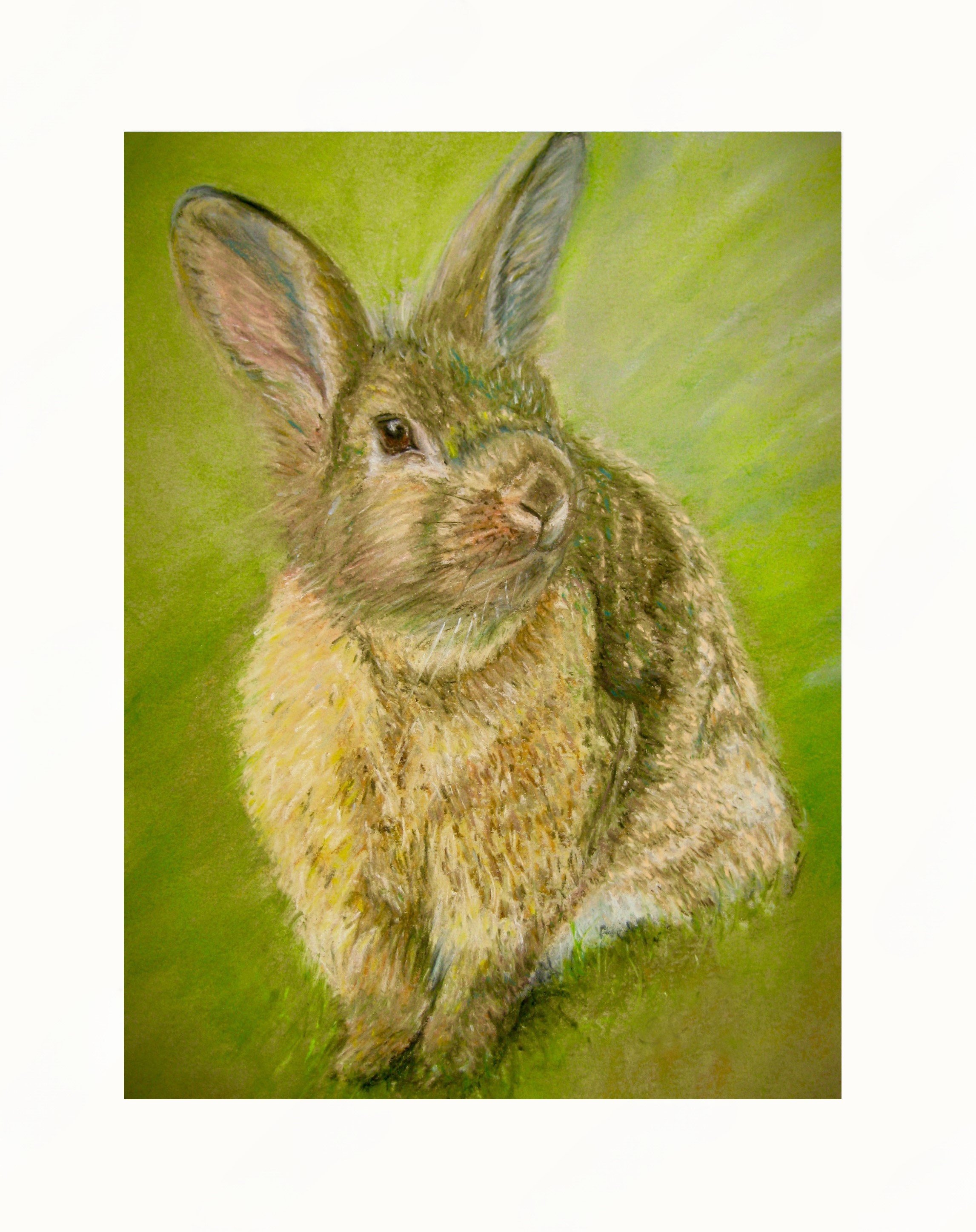 Sunny Bunny mounted.jpg