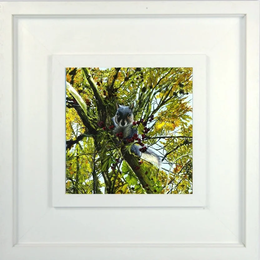 Squirrel and haw berries original (1).jpg