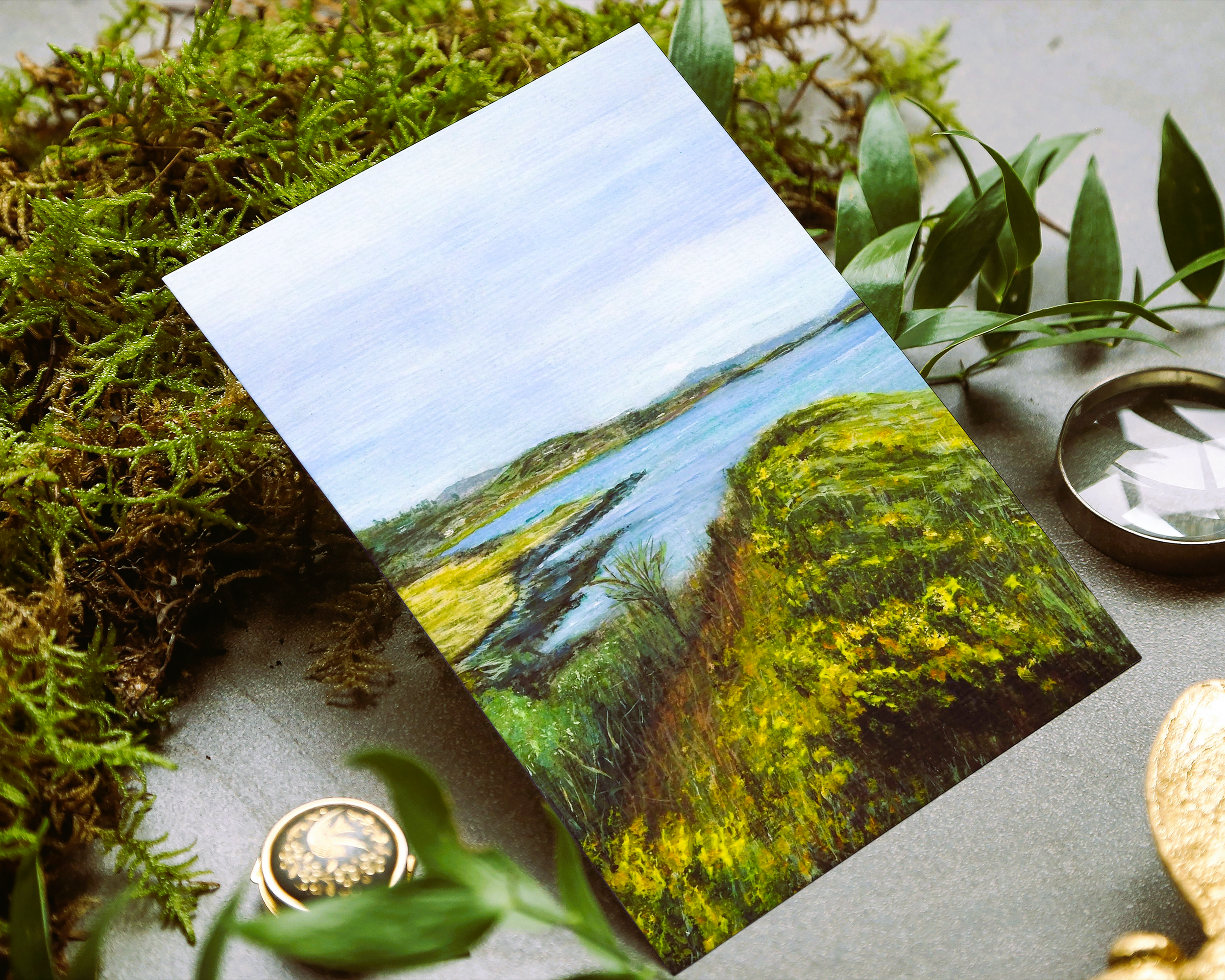 Coastal Gorse card mock up.png