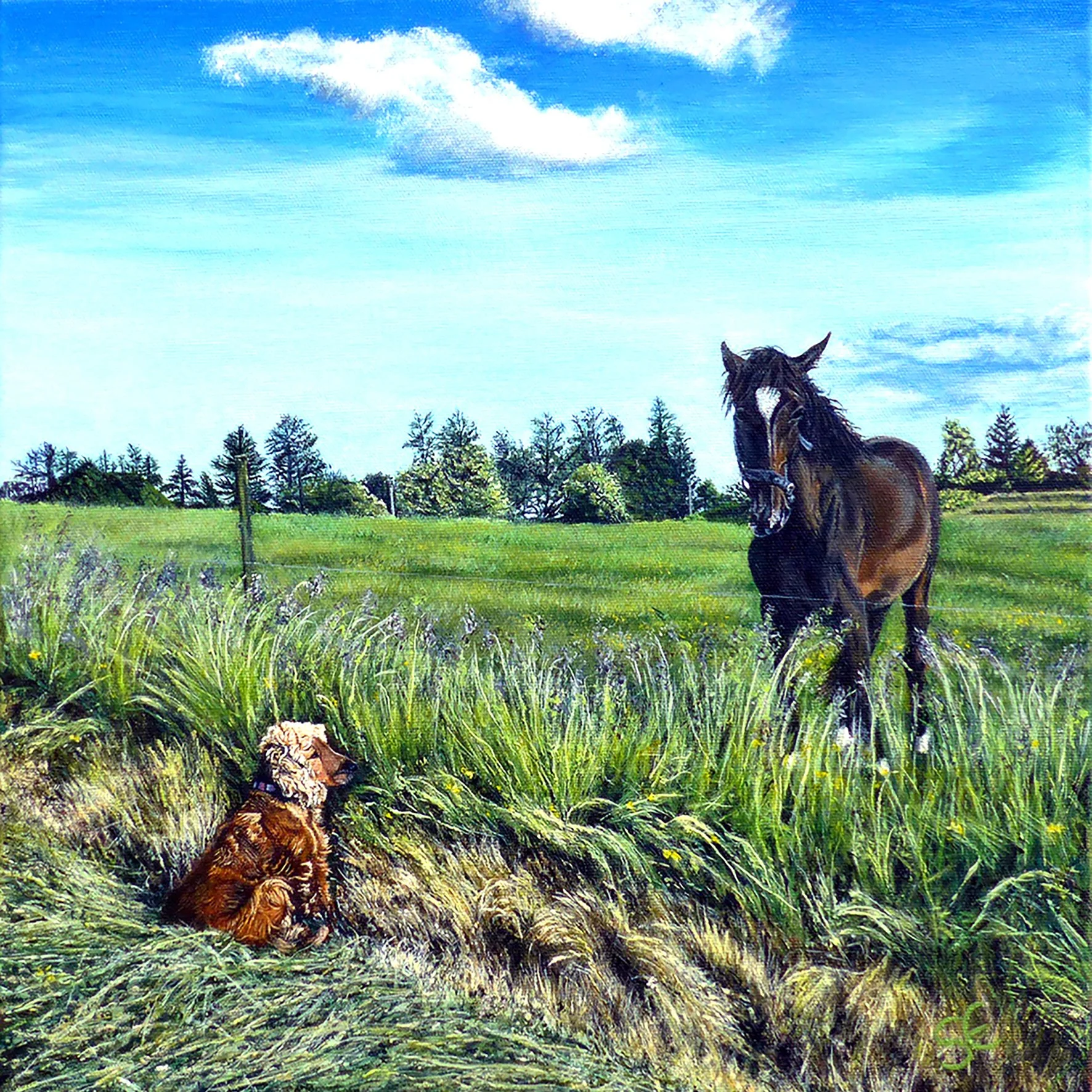 A red / brown cocker spaniel is looking at a brown horse in a grassy field with trees and blue skies in the background