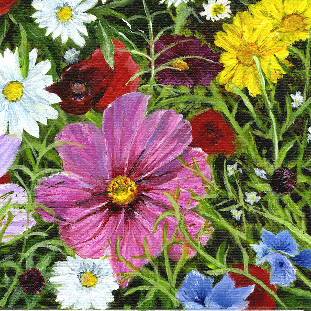 Wildflowers 8.jpg