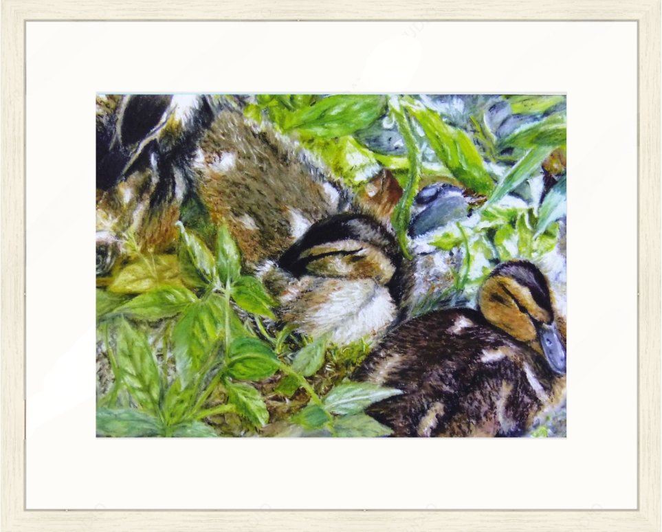 Glade Ducklings framed.jpg