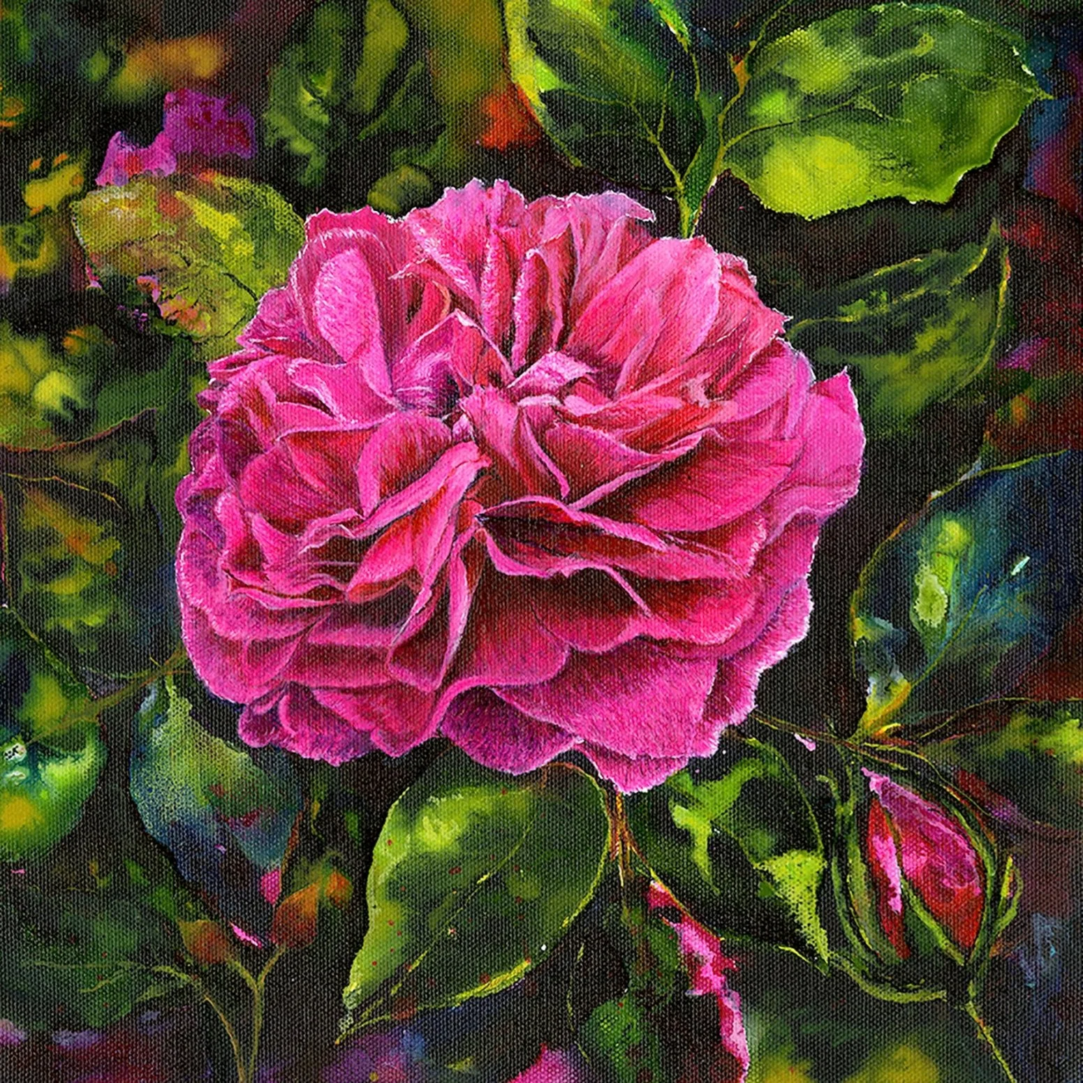 Gabriel Oak - Rose Floral Art Print