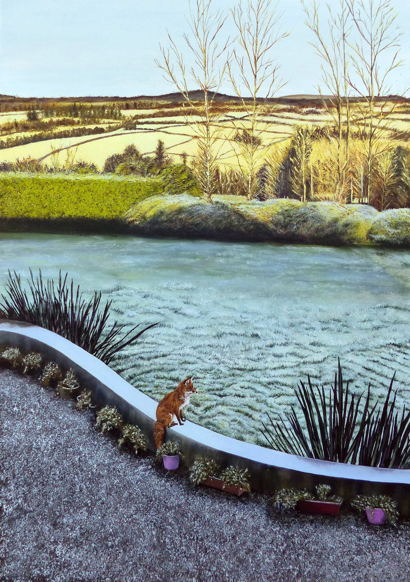 Fox's Garden 1.jpg