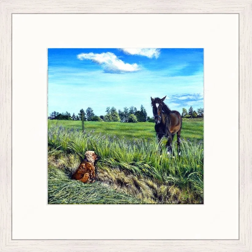 Lucys compromise fr.jpg