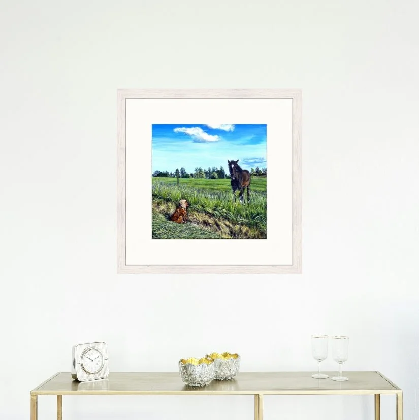 Lucys compromise fr (1).jpg