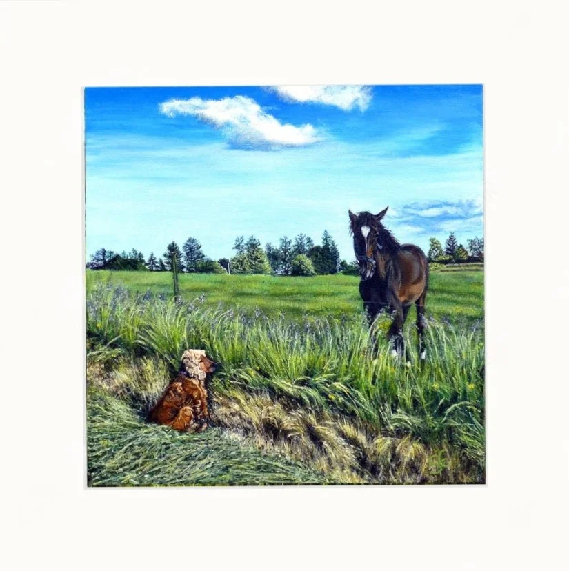 Lucys compromise mtd.jpg