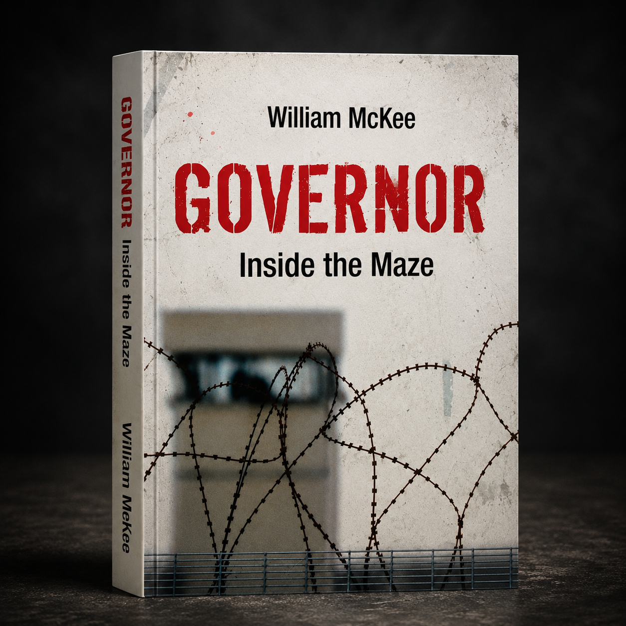 Governor Inside the Maze (paperback edition)