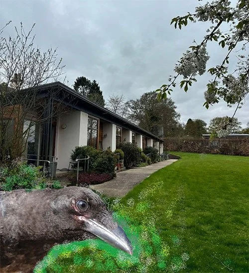 WARDSIDE HOUSE GAZETTE