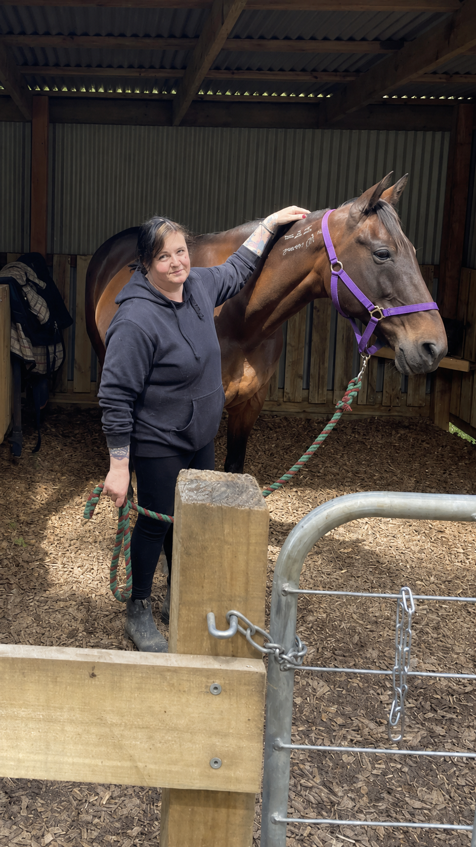 What If Your Horse Doesn't Need Fixing Today?