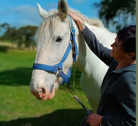 Screenshot 2025-03-25 110828.png