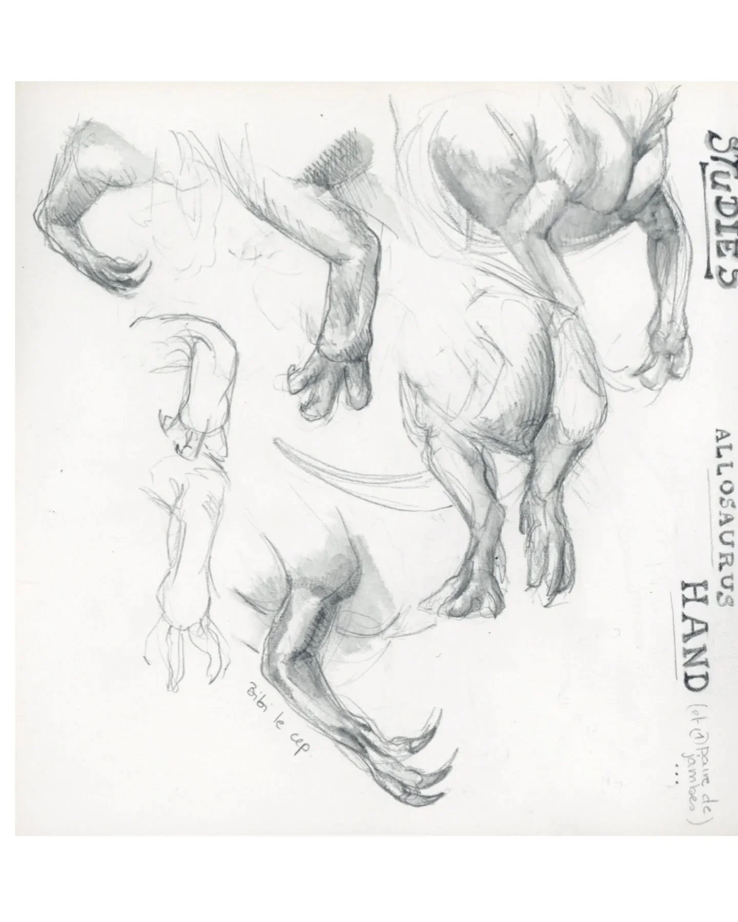 🦖🦕 Dino sketchbook update 
✏️ watercolor pencils mostly 

And a little air-drying clay Carnotaurus because 🤷&zwj;♀️ 
 

#sketchbooktour #sketchbook #dinoart #dinosketch #paleoart #paleoreconstruction #paleoillustration #naturalhistoryart #naturalh