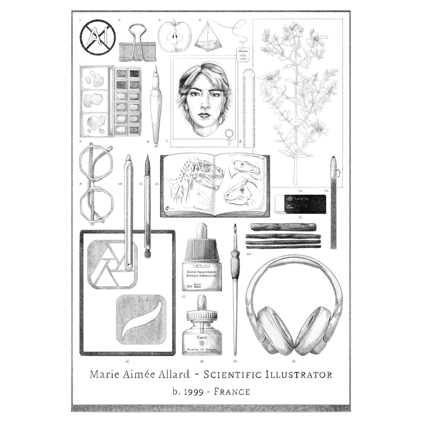 👋 HELLO ! 
🧑 I&rsquo;m Marie (she/her), a scientific illustrator from France and living in Portugal
🔬 I come from a scientific background with a master in natural sciences ( systematic, evolution and paleontology at @le_museum and @sorbonne_univ )